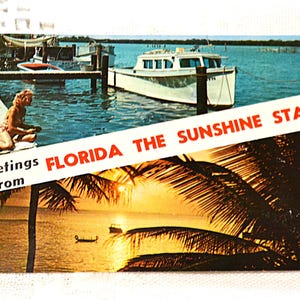 Vintage FLORIDE carte postale salutations de Sunshine State des années 1960 vacances souvenir carte postale souvenirs papier éphémères PanchosPorch