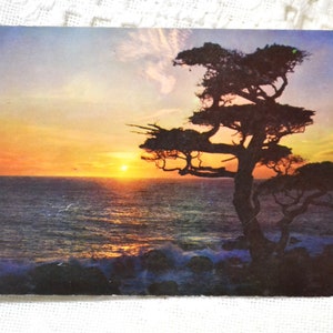 vintage CALIFORNIE carte postale coucher de soleil sur l'océan Pacifique littoral Americana souvenir carte postale souvenirs tourisme papier éphémères PanchosPorch
