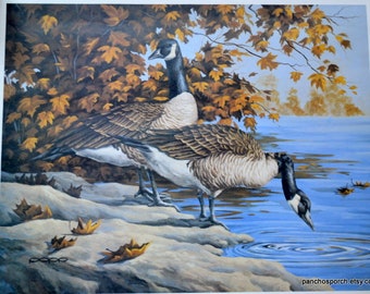 Vintage Canadian Geese Print by Raymond Popp Waterfowl Birds Nature Theme Ready to Frame Wall Decor Panchosporch