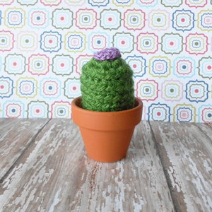 May include: A small green crocheted cactus with a purple flower on top, potted in a terracotta pot.