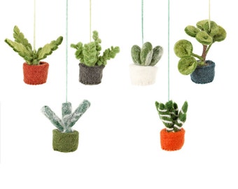 Miniature Hanging Plants (Set of 6) - Cactus - Aloe Vera - Succulent - Fake Plant - Sustainable - Plastic Free - Eco Friendly - Handmade