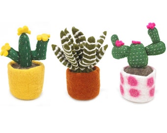 Cactus Collection - Needle Felted Cacti - Fake Plants - Succulents - Plants - Home Decor