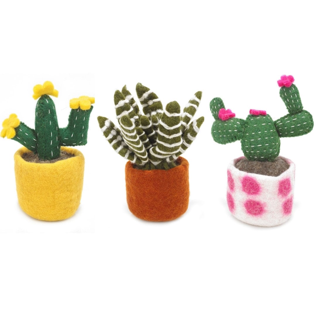 Cactus Collection Needle Felted Cacti Fake Plants Etsy UK