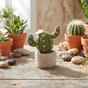 May include: A felted green cactus with two arms and white stitched star patterns, topped with a small white flower. The cactus is set in a cylindrical beige felt pot, positioned centrally among other potted plants and smooth river stones.