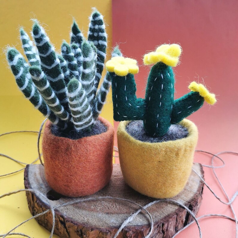 Cactus Collection Needle Felted Cacti Fake Plants Etsy UK