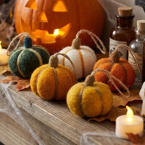Hängende Kürbisse (5er Set) - Nadel gefilzte Herbst-Ernte-Dekor