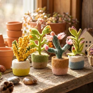 Happy Houseplant: Handmade Felt Eco-Friendly Wool Cactus & Blooms