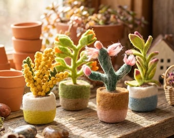 Happy Houseplant: Handmade Felt Eco-Friendly Wool Cactus & Blooms