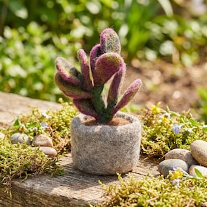Planta Ficus Elastica: Decoração de chão feita à mão em feltro de lã de comércio justo.