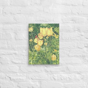 Canvas print: Sun Through Tulips and Poppies