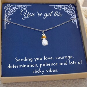 May include: A small silver pineapple charm necklace in a blue box with the text "You've got this" and "Sending you love, courage, determination, patience and lots of sticky vibes."