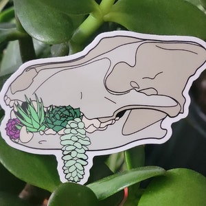 Succulent Wolf Skull 3" Vinyl Sticker - Artist Designed - Death Goth Vulture Culture Memento Mori