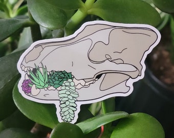 Succulent Wolf Skull 3" Vinyl Sticker - Artist Designed - Death Goth Vulture Culture Memento Mori