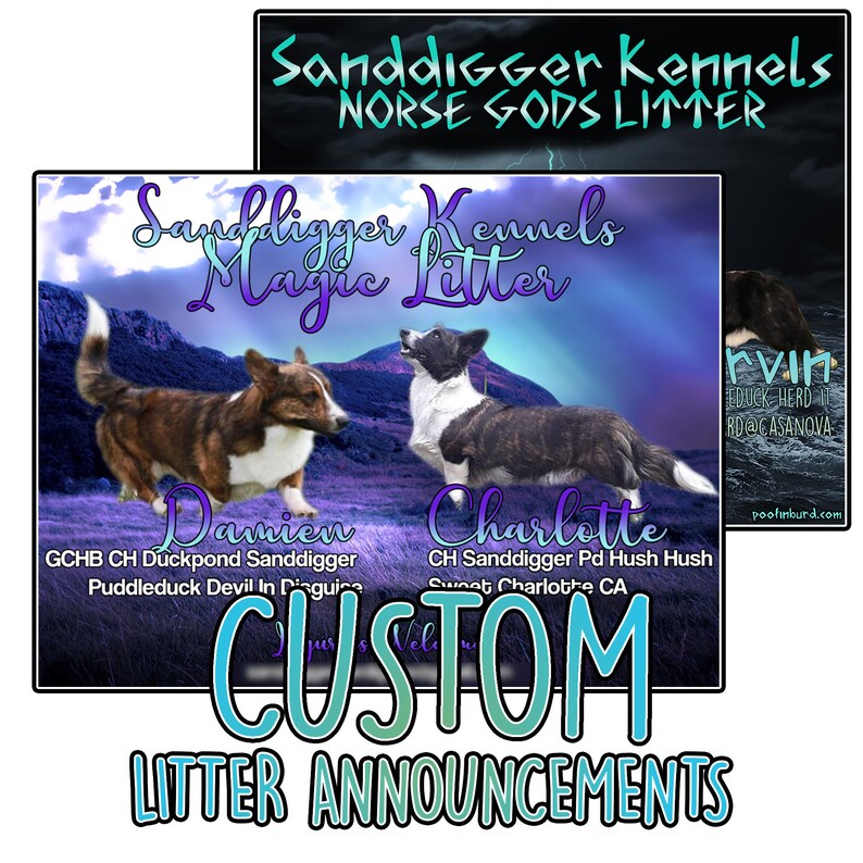 CUSTOM Litter Announcements  Quality Perfect for dog Etsy
