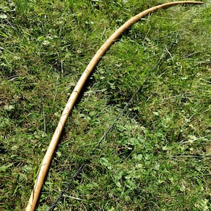 71 Bamboo-Backed English Longbow Competition or Hunting Bow Custom Wood Archery image 1