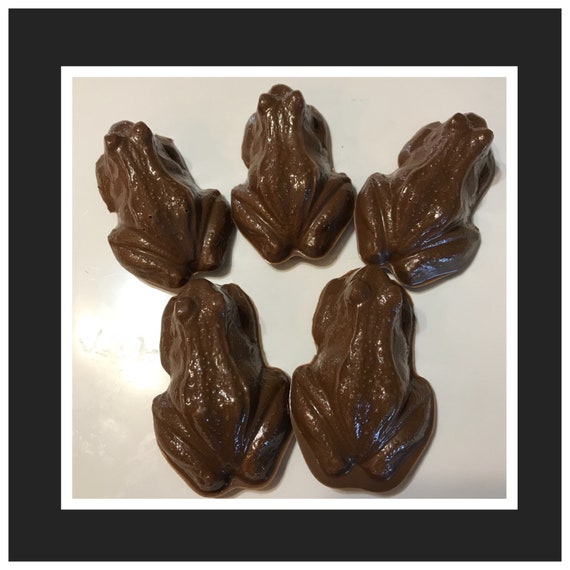 Frog Chocolates Solid Chocolate Frog Favors Etsy