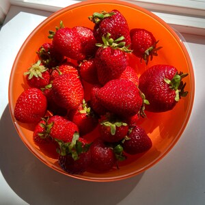 May include: A vibrant orange bowl filled with fresh, ripe strawberries. The strawberries are a deep red color with green stems and leaves. The bowl is sitting on a white surface, with sunlight casting shadows.