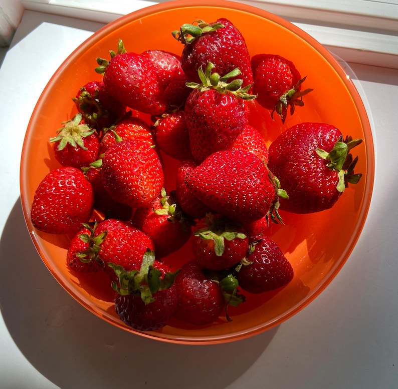 May include: A vibrant orange bowl filled with fresh, ripe strawberries. The strawberries are a deep red color with green stems and leaves. The bowl is sitting on a white surface, with sunlight casting shadows.