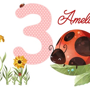 Op de afbeelding: Een roze nummer drie met witte hartjes, een rood lieveheersbeestje op een groen blaadje en de naam Amelie in rood cursief.