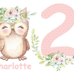 Ironing picture owl birthday birthday number white or colored textiles