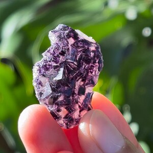 May include: A close-up of a purple fluorite crystal. The crystal has a complex, geometric structure with various shades of purple and some clear areas. The background is blurred green foliage.