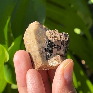 Aegirine w/ Feldspar (Mt. Malosa, Zomba, Malawi, Africa)