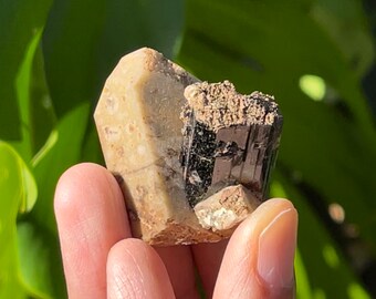 Aegirine w/ Feldspar (Mt. Malosa, Zomba, Malawi, Africa)