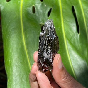 Pele’s Dream Root Lemurian Smokey Citrine, Brazil (Starbrary, Keys)