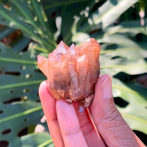 Multi DT Orange River Hematite Quartz Cluster (Multi Double Terminated, Namibia, South Africa)