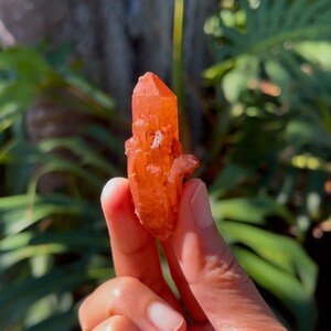 Rare Tangerine Lemurian Quartz from Corintos, Minas Gerais, Brazil  (Left\Past Timelink)