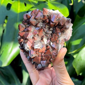 Red Capped Thunder Bay Amethyst from Moonlight Mine, Thunder Bay, Canada (Aka Auralite 23)