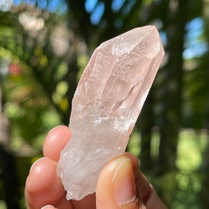 Pink Lemurian Scepter Quartz Crystal from Cristalina, Brazil