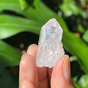 Rare Colombian Pink Lemurians w/ Lithium Inclusions (Rainbows)
