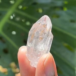 May include: A clear quartz crystal with a pointed tip and a rough, textured surface. The crystal is held in a hand.