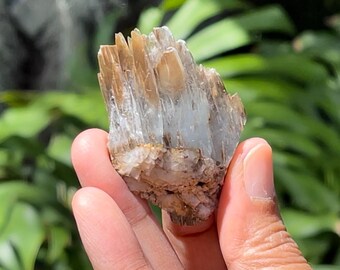 May include: A cluster of brown and white crystals with a rough, natural texture. The crystals are arranged in a pointed, jagged formation.