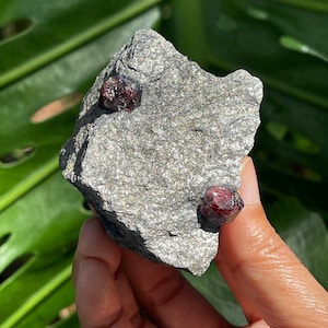 Almandine Garnets in Schist Matrix (Wrangell Island, Alaska)