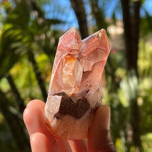 Ishuko Red Phantom Quartz: Rare Zambian Crystal