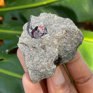 Almandine Garnets in Schist Matrix (Wrangell Island, Alaska)