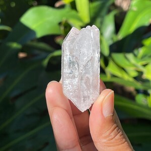 Rare Colombian Pink Lemurians w/ Lithium Inclusions (Rainbows)