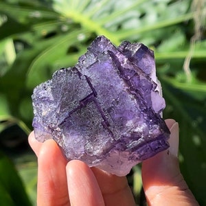 Purple Fluorite from Mina Esperanza, Mexico