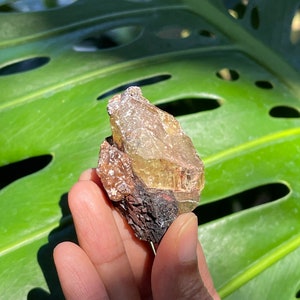 Terminated Golden Apatite on Matrix (Feldspar, Garnet, Black Tourmaline, Quartz)