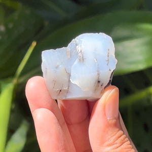 Dendritic Opal
