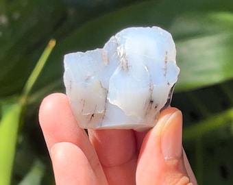 Dendritic Opal Crystal