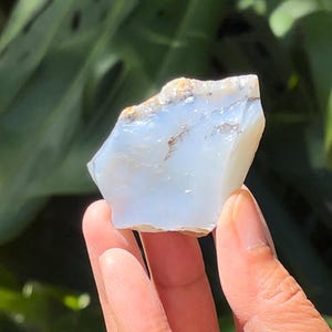 Dendritic Opal