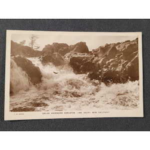 May include: Sepia-toned postcard featuring a waterfall cascading over rocky terrain. The image captures the power of the water as it rushes through the rocks. The text at the bottom reads "Grilse Ascending Earlston Linn, Dalry, New Galloway."