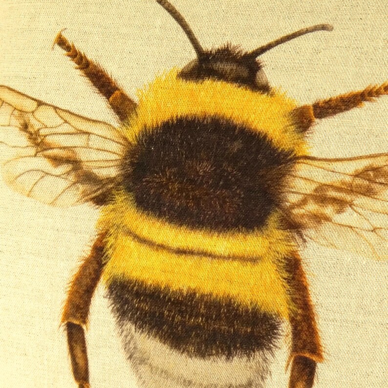 K&ouml;nnte beinhalten: Nahaufnahme einer Hummel mit gelb-schwarzen Streifen, braunen Beinen und durchscheinenden Fl&uuml;geln. Die Biene ist vor einem hellbeigen Hintergrund zentriert, der ihre detaillierte Textur und nat&uuml;rlichen Farben hervorhebt. Das Bild zeigt den pelzigen K&ouml;rper der Biene.