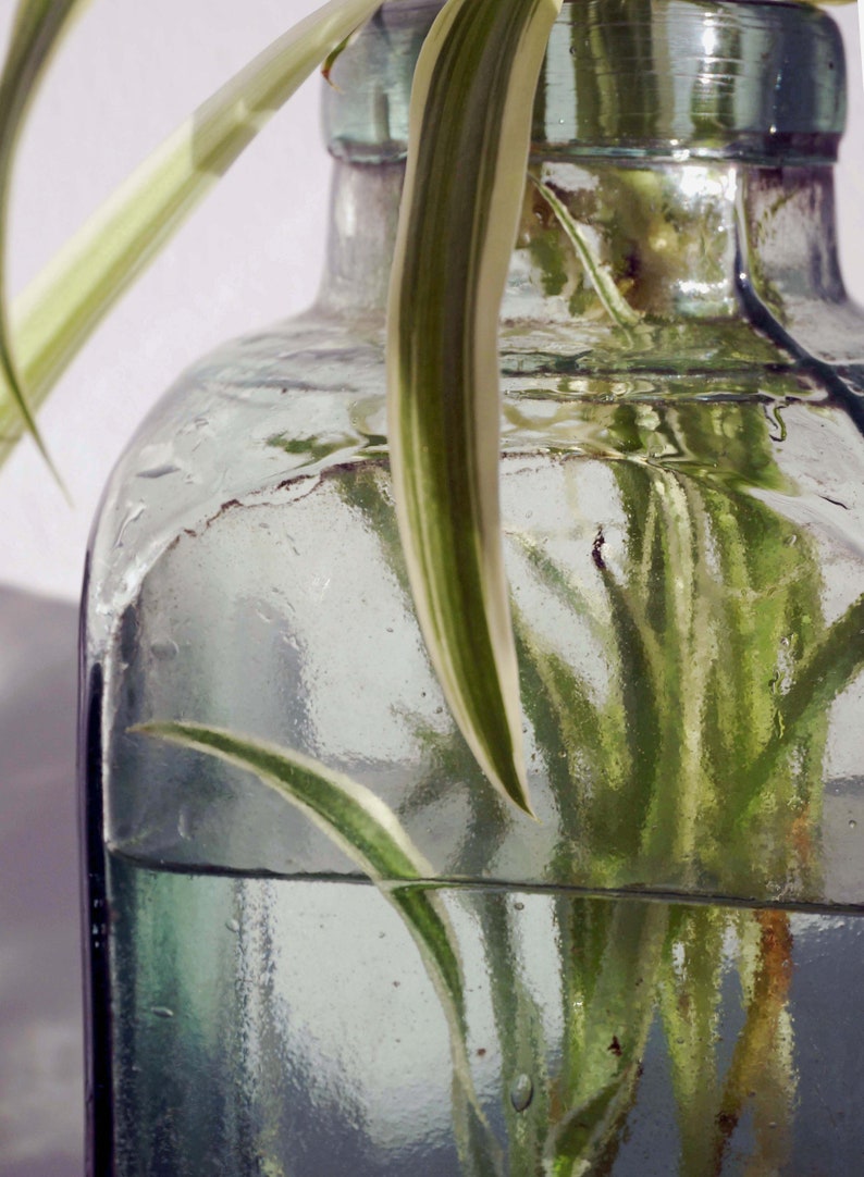 Clear Glass Vase Vintage Glass Vase Hand Blown Glass Vase Etsy