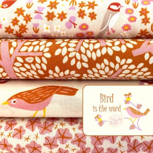 Moda-Stoffpaket " Bird is the Word" Sweetfire Road