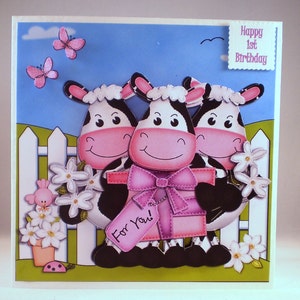 Handmade Childrens  Birthday Card,3D,Decoupage, Personalise,Any Ag
