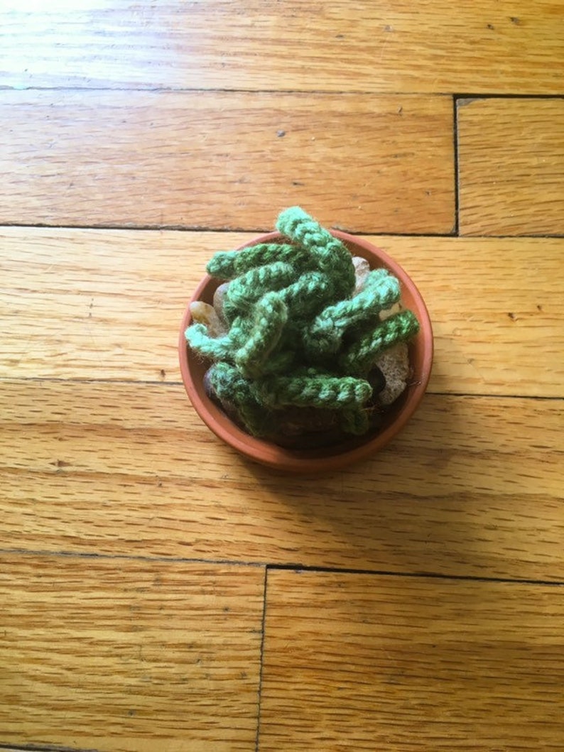 Crocheted Potted Succulents Air PlantAloe in Teracotta Dish